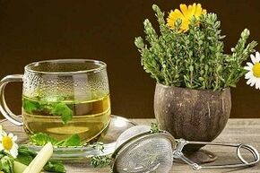 Terapeutické bylinky pri liečbe kŕčových žíl